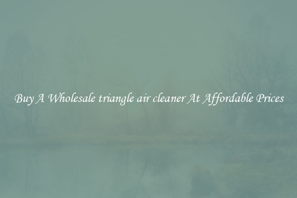 Buy A Wholesale triangle air cleaner At Affordable Prices
