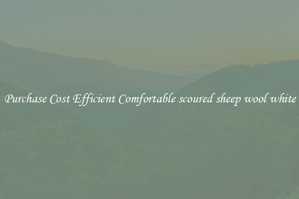 Purchase Cost Efficient Comfortable scoured sheep wool white