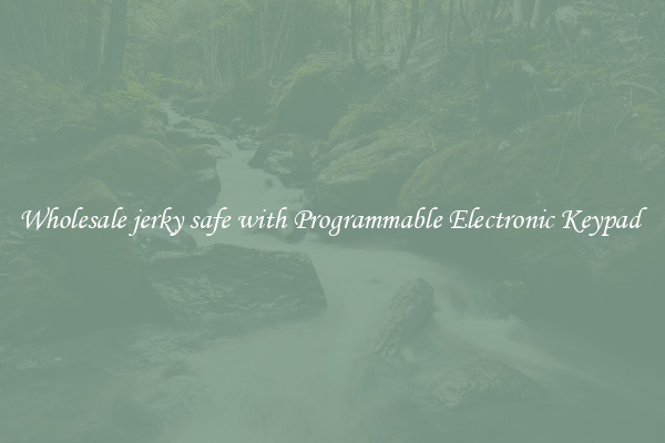 Wholesale jerky safe with Programmable Electronic Keypad 