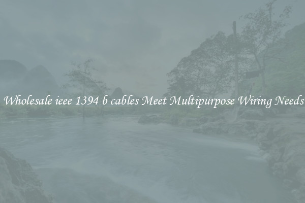 Wholesale ieee 1394 b cables Meet Multipurpose Wiring Needs