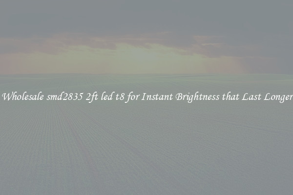 Wholesale smd2835 2ft led t8 for Instant Brightness that Last Longer