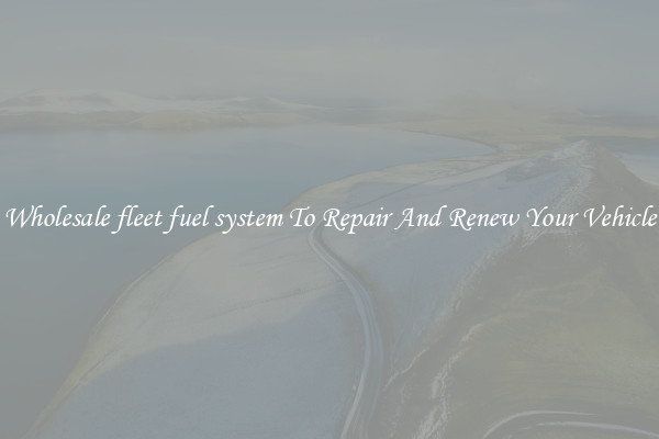 Wholesale fleet fuel system To Repair And Renew Your Vehicle