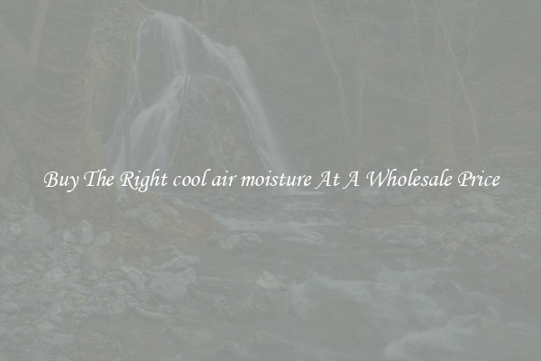 Buy The Right cool air moisture At A Wholesale Price