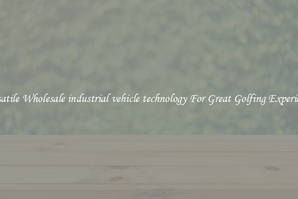 Versatile Wholesale industrial vehicle technology For Great Golfing Experience 