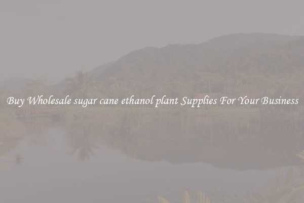 Buy Wholesale sugar cane ethanol plant Supplies For Your Business