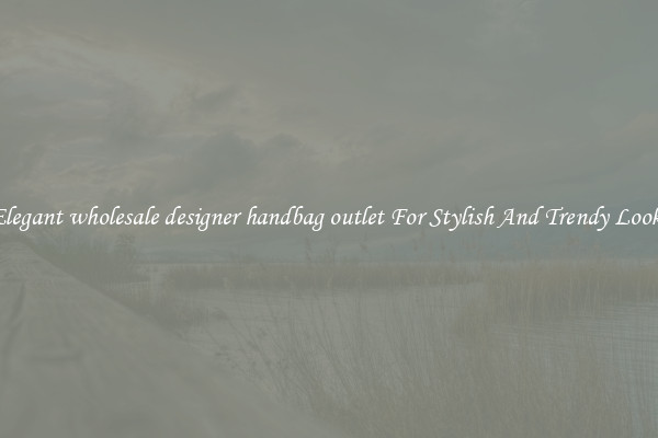 Elegant wholesale designer handbag outlet For Stylish And Trendy Looks