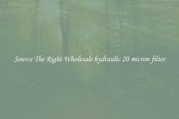 Source The Right Wholesale hydraulic 20 micron filter