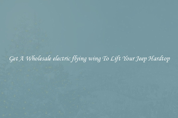 Get A Wholesale electric flying wing To Lift Your Jeep Hardtop