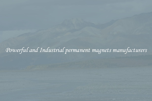 Powerful and Industrial permanent magnets manufacturers