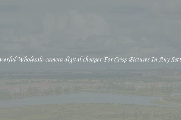 Powerful Wholesale camera digital cheaper For Crisp Pictures In Any Setting