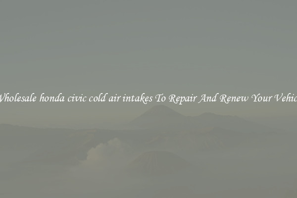 Wholesale honda civic cold air intakes To Repair And Renew Your Vehicle