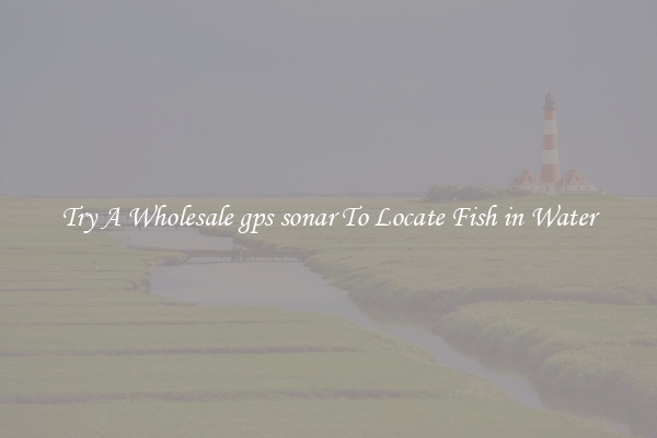Try A Wholesale gps sonar To Locate Fish in Water