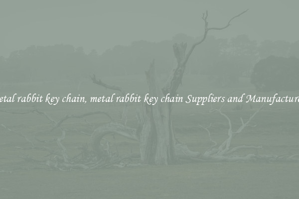 metal rabbit key chain, metal rabbit key chain Suppliers and Manufacturers