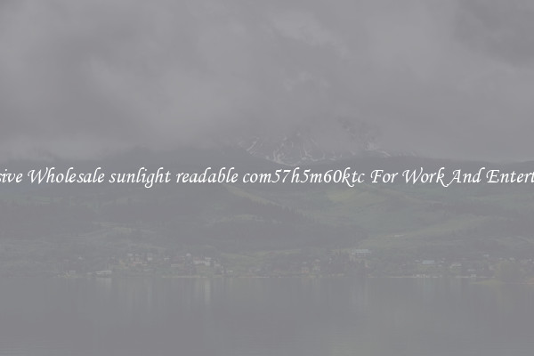 Responsive Wholesale sunlight readable com57h5m60ktc For Work And Entertainment