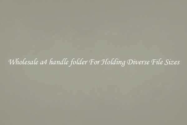 Wholesale a4 handle folder For Holding Diverse File Sizes