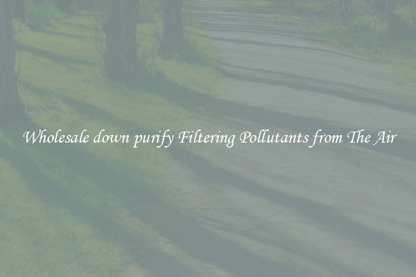 Wholesale down purify Filtering Pollutants from The Air