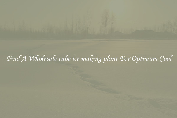 Find A Wholesale tube ice making plant For Optimum Cool