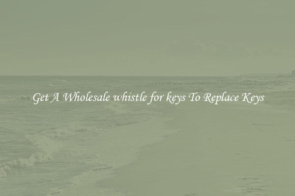 Get A Wholesale whistle for keys To Replace Keys
