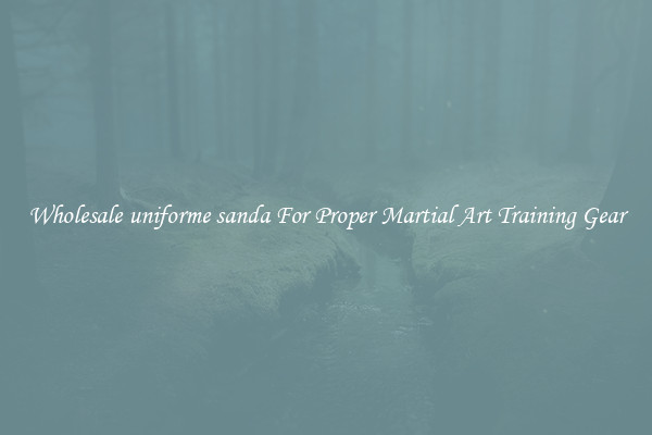 Wholesale uniforme sanda For Proper Martial Art Training Gear