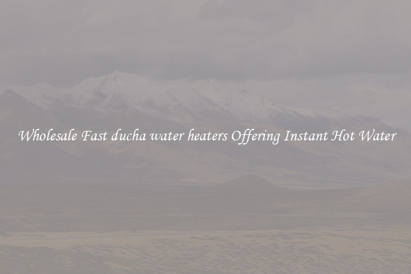 Wholesale Fast ducha water heaters Offering Instant Hot Water