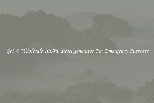 Get A Wholesale 1000w diesel generator For Emergency Purposes