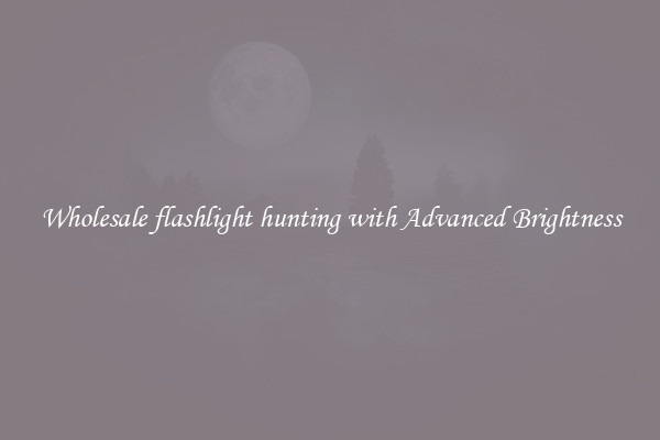Wholesale flashlight hunting with Advanced Brightness