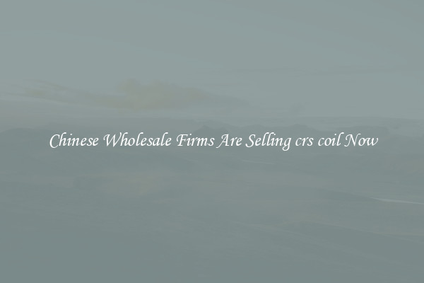 Chinese Wholesale Firms Are Selling crs coil Now