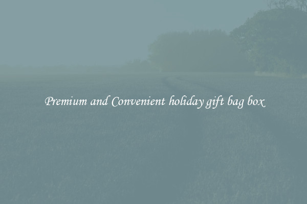 Premium and Convenient holiday gift bag box